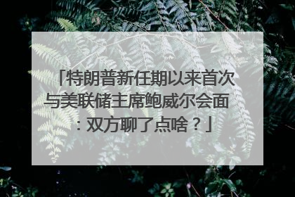 特朗普新任期以来首次与美联储主席鲍威尔会面：双方聊了点啥？