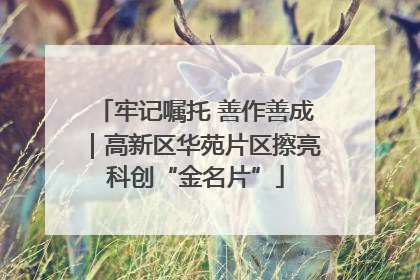 牢记嘱托 善作善成｜高新区华苑片区擦亮科创“金名片”