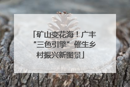 矿山变花海！广丰“三色引擎”催生乡村振兴新图景