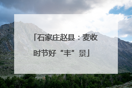 石家庄赵县：麦收时节好“丰”景