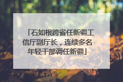 石如根跨省任新疆工信厅副厅长，连续多名年轻干部调任新疆