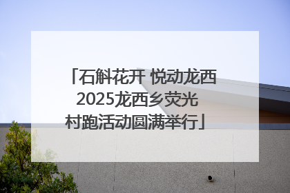 石斛花开 悦动龙西 2025龙西乡荧光村跑活动圆满举行