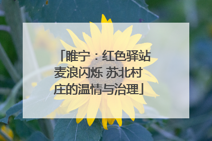睢宁：红色驿站麦浪闪烁 苏北村庄的温情与治理