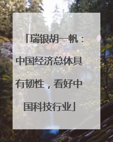 瑞银胡一帆：中国经济总体具有韧性，看好中国科技行业