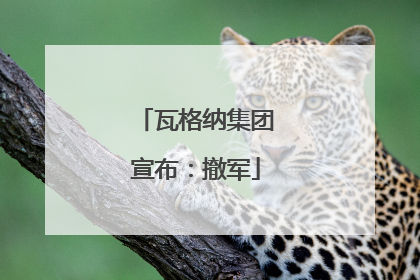 瓦格纳集团宣布：撤军