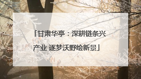 甘肃华亭：深耕链条兴产业 逐梦沃野绘新景