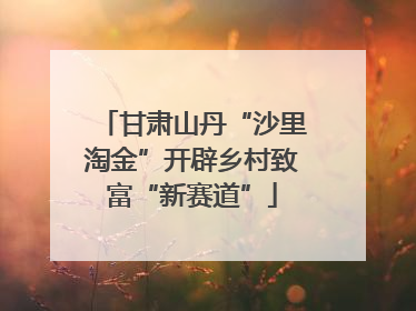 甘肃山丹“沙里淘金”开辟乡村致富“新赛道”