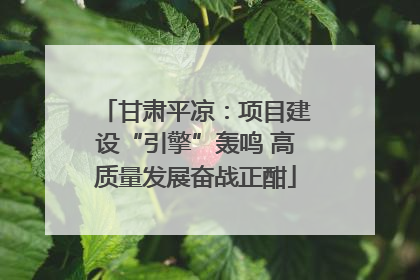 甘肃平凉：项目建设“引擎”轰鸣 高质量发展奋战正酣