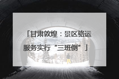甘肃敦煌：景区骆运服务实行“三班倒”