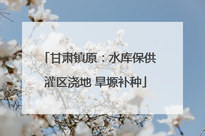 甘肃镇原：水库保供 灌区浇地 旱塬补种