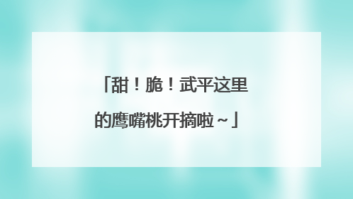 甜！脆！武平这里的鹰嘴桃开摘啦～