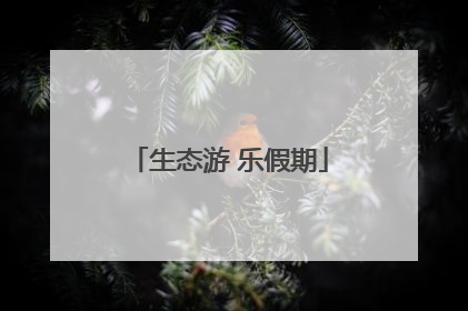 生态游 乐假期