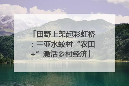 田野上架起彩虹桥：三亚水蛟村“农田+”激活乡村经济