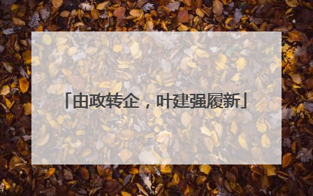 由政转企，叶建强履新