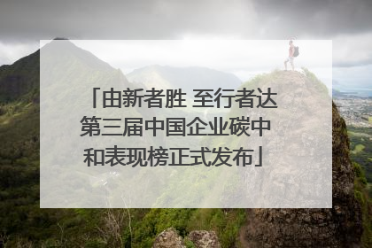 由新者胜 至行者达 第三届中国企业碳中和表现榜正式发布