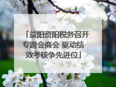 益阳资阳税务召开专题会商会 驱动绩效考核争先进位