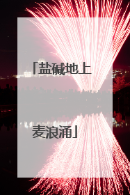 盐碱地上麦浪涌