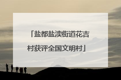 盐都盐渎街道花吉村获评全国文明村