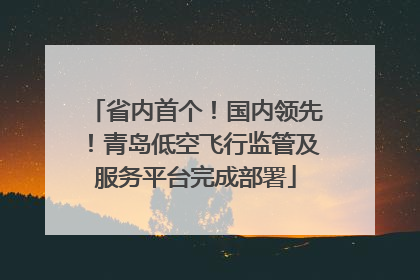 省内首个！国内领先！青岛低空飞行监管及服务平台完成部署