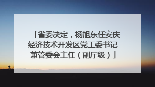 省委决定，杨旭东任安庆经济技术开发区党工委书记兼管委会主任（副厅级）