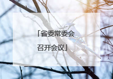 省委常委会召开会议