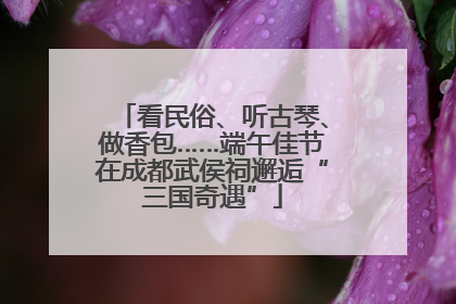 看民俗、听古琴、做香包……端午佳节在成都武侯祠邂逅“三国奇遇”