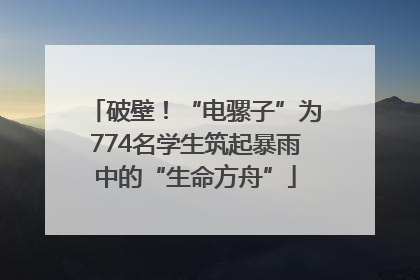 破壁！“电骡子”为774名学生筑起暴雨中的“生命方舟”