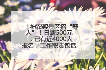 神农架景区招“野人”！日薪500元，已有近4000人报名，工作职责包括“接受游客投喂”