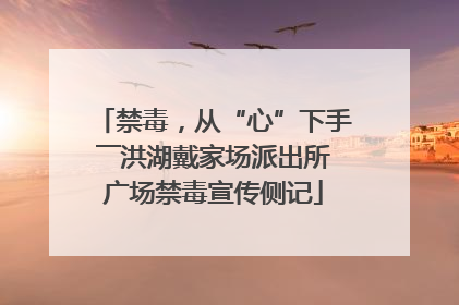禁毒，从“心”下手――洪湖戴家场派出所广场禁毒宣传侧记