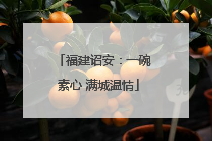 福建诏安：一碗素心 满城温情