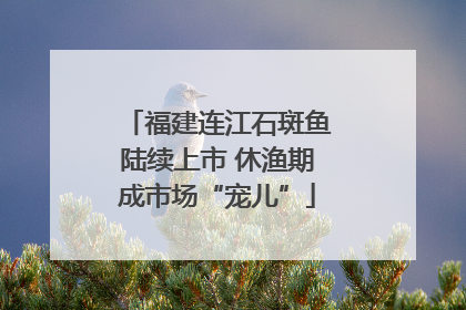 福建连江石斑鱼陆续上市 休渔期成市场“宠儿”