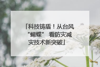 科技铸盾！从台风“蝴蝶” 看防灾减灾技术新突破