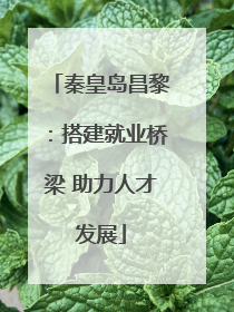 秦皇岛昌黎：搭建就业桥梁 助力人才发展