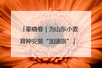 秦晓春｜为山东小麦育种安装“加速器”