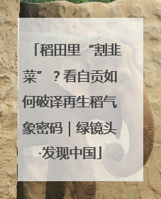 稻田里“割韭菜”？看自贡如何破译再生稻气象密码｜绿镜头·发现中国