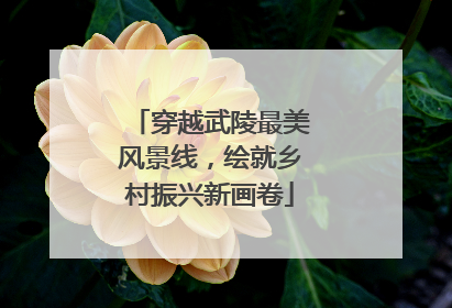 穿越武陵最美风景线，绘就乡村振兴新画卷
