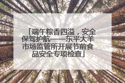 端午粽香四溢，安全保驾护航——东平大羊市场监管所开展节前食品安全专项检查