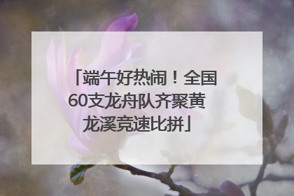 端午好热闹！全国60支龙舟队齐聚黄龙溪竞速比拼
