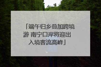 端午归乡叠加跨境游 南宁口岸将迎出入境客流高峰