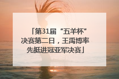 第31届“五羊杯”决赛第二日，王禹博率先挺进冠亚军决赛
