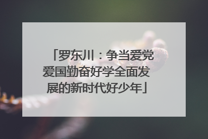 罗东川：争当爱党爱国勤奋好学全面发展的新时代好少年