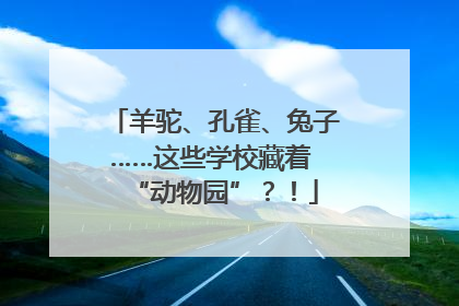 羊驼、孔雀、兔子……这些学校藏着 “动物园”？！