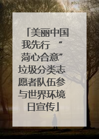 美丽中国我先行 “菏心合意”垃圾分类志愿者队伍参与世界环境日宣传
