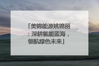 美锦能源姚锦丽：深耕氢能蓝海，领航绿色未来