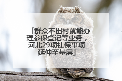 群众不出村就能办理参保登记等业务，河北29项社保事项延伸至基层