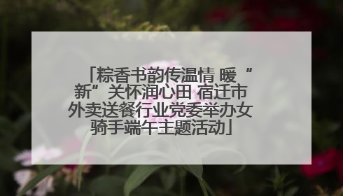 粽香书韵传温情 暖“新”关怀润心田 宿迁市外卖送餐行业党委举办女骑手端午主题活动
