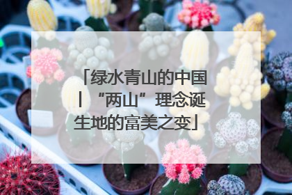 绿水青山的中国丨“两山”理念诞生地的富美之变