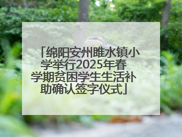 绵阳安州雎水镇小学举行2025年春学期贫困学生生活补助确认签字仪式