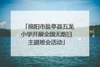 绵阳市盐亭县五龙小学开展全国无烟日主题班会活动
