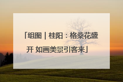 组图｜桂阳：格桑花盛开 如画美景引客来